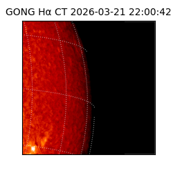 gong - 2026-03-21T22:00:42
