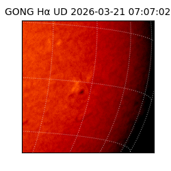 gong - 2026-03-21T07:07:02