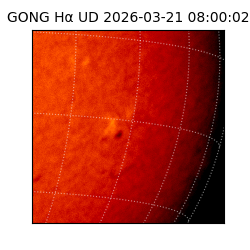 gong - 2026-03-21T08:00:02