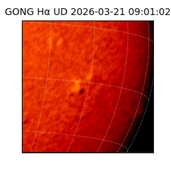 gong - 2026-03-21T09:01:02