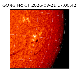 gong - 2026-03-21T17:00:42