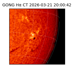 gong - 2026-03-21T20:00:42
