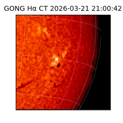 gong - 2026-03-21T21:00:42