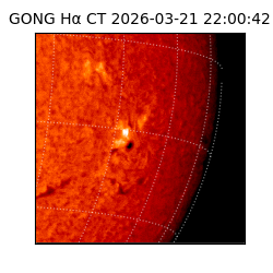 gong - 2026-03-21T22:00:42
