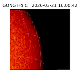 gong - 2026-03-21T16:00:42