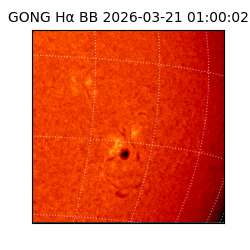 gong - 2026-03-21T01:00:02