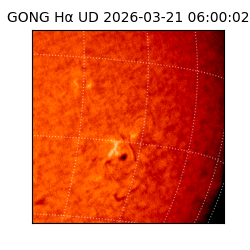 gong - 2026-03-21T06:00:02