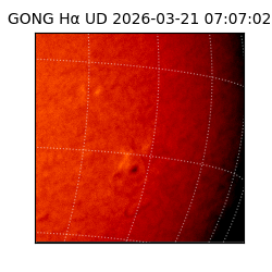 gong - 2026-03-21T07:07:02