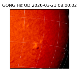 gong - 2026-03-21T08:00:02