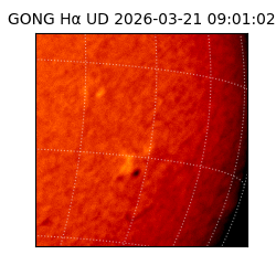 gong - 2026-03-21T09:01:02
