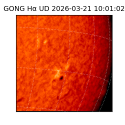 gong - 2026-03-21T10:01:02