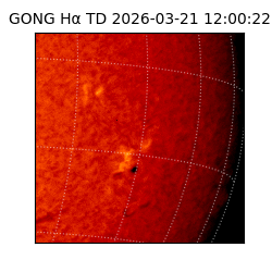 gong - 2026-03-21T12:00:22
