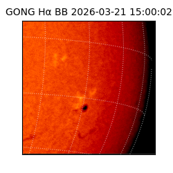 gong - 2026-03-21T15:00:02