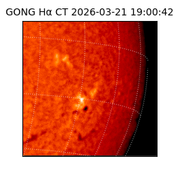 gong - 2026-03-21T19:00:42