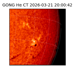 gong - 2026-03-21T20:00:42