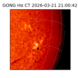 gong - 2026-03-21T21:00:42