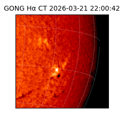 gong - 2026-03-21T22:00:42