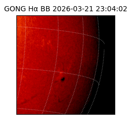 gong - 2026-03-21T23:04:02