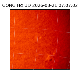 gong - 2026-03-21T07:07:02