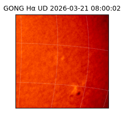gong - 2026-03-21T08:00:02