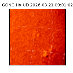 gong - 2026-03-21T09:01:02