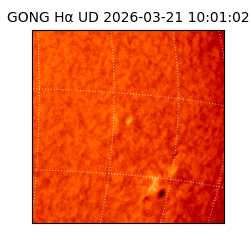 gong - 2026-03-21T10:01:02