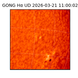 gong - 2026-03-21T11:00:02