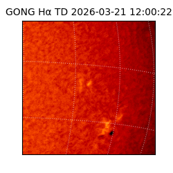 gong - 2026-03-21T12:00:22