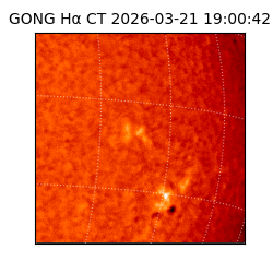 gong - 2026-03-21T19:00:42