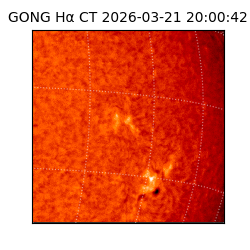 gong - 2026-03-21T20:00:42