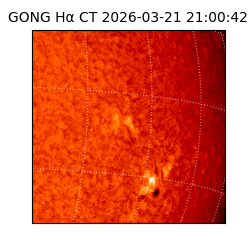 gong - 2026-03-21T21:00:42