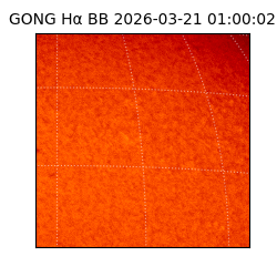 gong - 2026-03-21T01:00:02