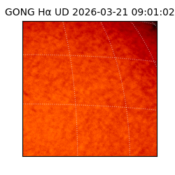 gong - 2026-03-21T09:01:02