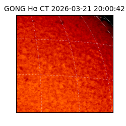 gong - 2026-03-21T20:00:42