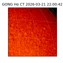 gong - 2026-03-21T22:00:42
