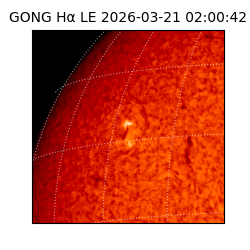 gong - 2026-03-21T02:00:42