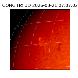 gong - 2026-03-21T07:07:02