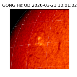 gong - 2026-03-21T10:01:02