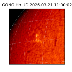 gong - 2026-03-21T11:00:02