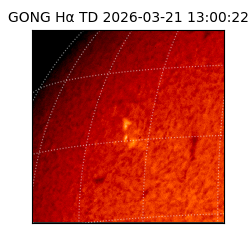 gong - 2026-03-21T13:00:22