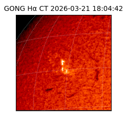 gong - 2026-03-21T18:04:42