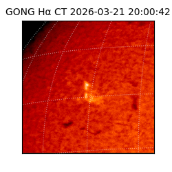 gong - 2026-03-21T20:00:42