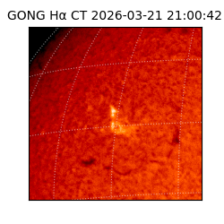 gong - 2026-03-21T21:00:42