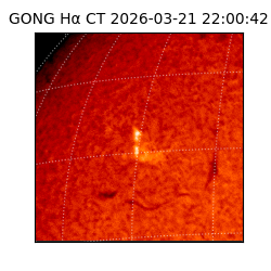 gong - 2026-03-21T22:00:42