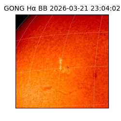 gong - 2026-03-21T23:04:02