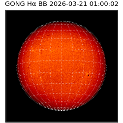 gong - 2026-03-21T01:00:02