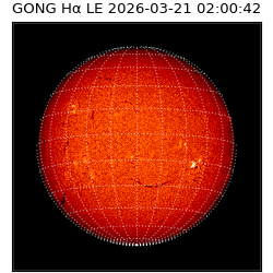 gong - 2026-03-21T02:00:42