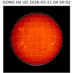 gong - 2026-03-21T04:00:02