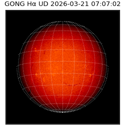 gong - 2026-03-21T07:07:02