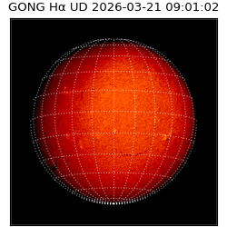 gong - 2026-03-21T09:01:02
